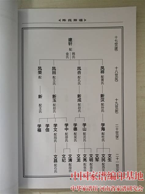 潮州陈氏族谱|最全的广东潮汕地区陈氏派系宗源